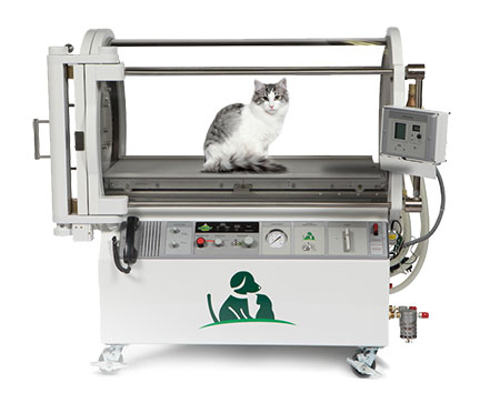 Benefits of HBOT Chambers for Pets
