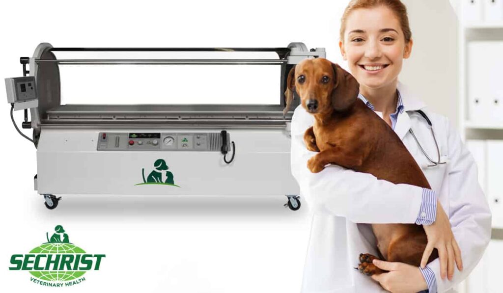Hyperbaric Medical Solutions for Pets