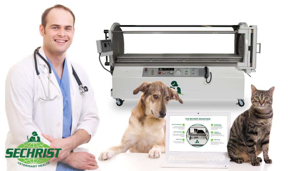 Hyperbaric Medicine for Pets