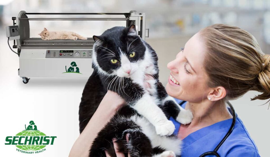 Hyperbaric Oxygen Chambers for Animals