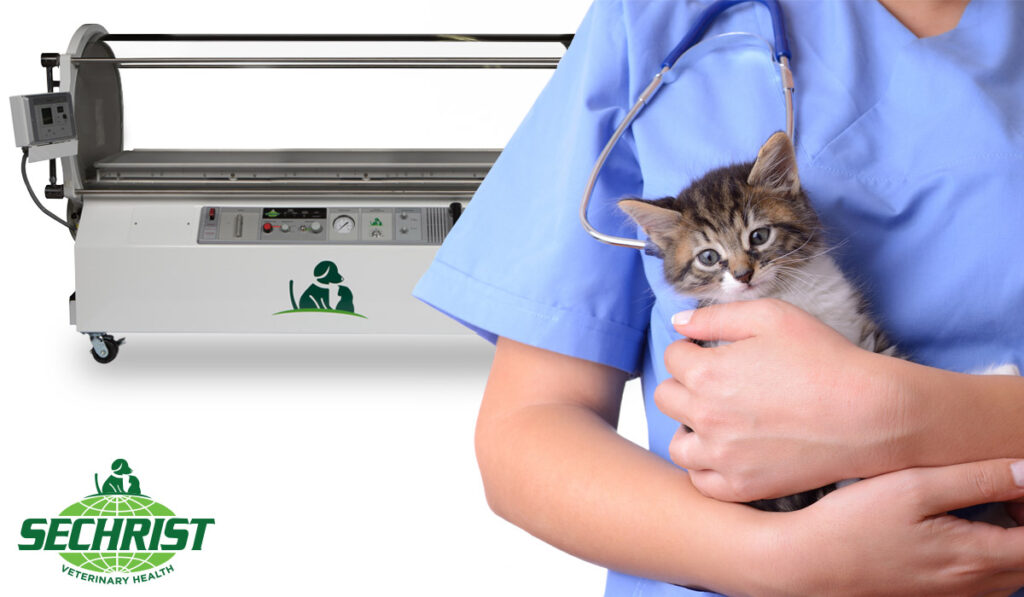 Hyperbaric Oxygen Therapy For Veterinarians