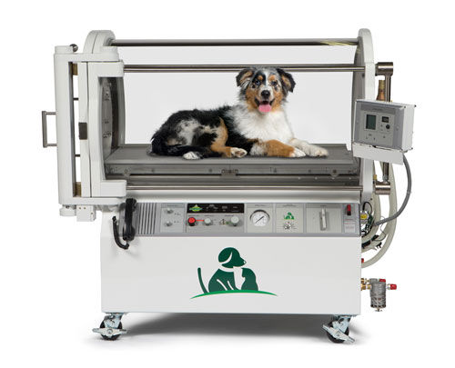 Hyperbaric Oxygen Therapy Investment for Veterinarians