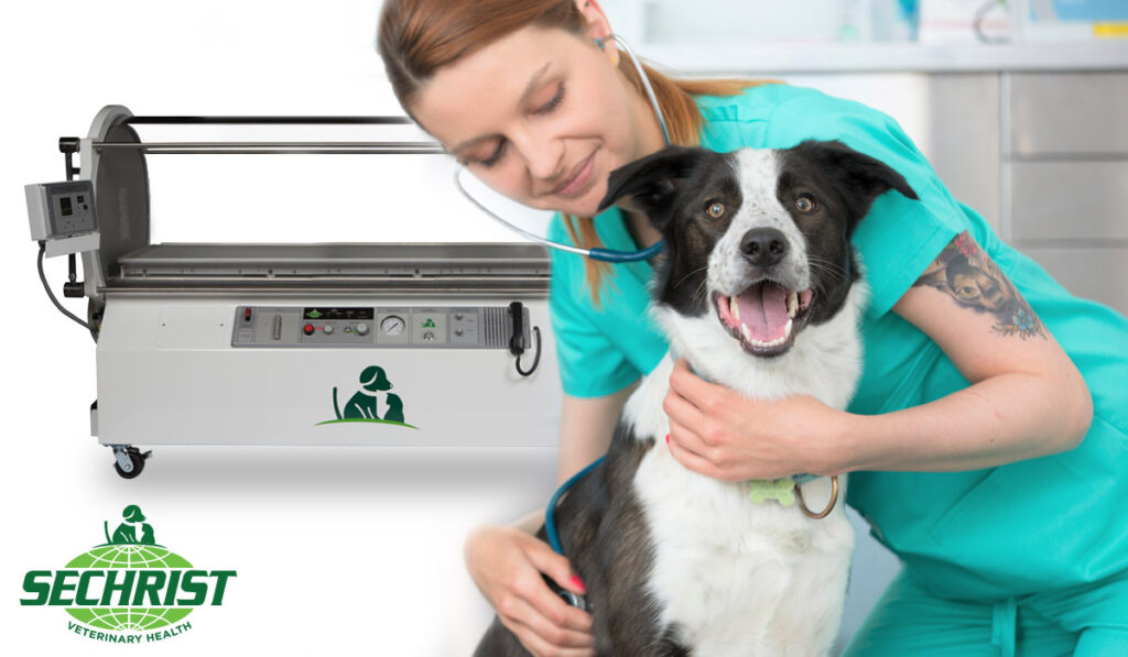 Hyperbaric Oxygen Therapy and Veterinary Medicine
