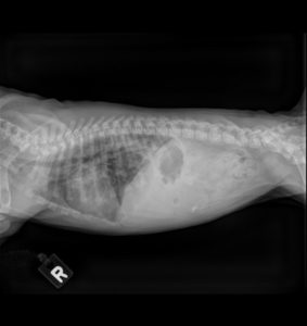 Oxygen Therapy X-ray results