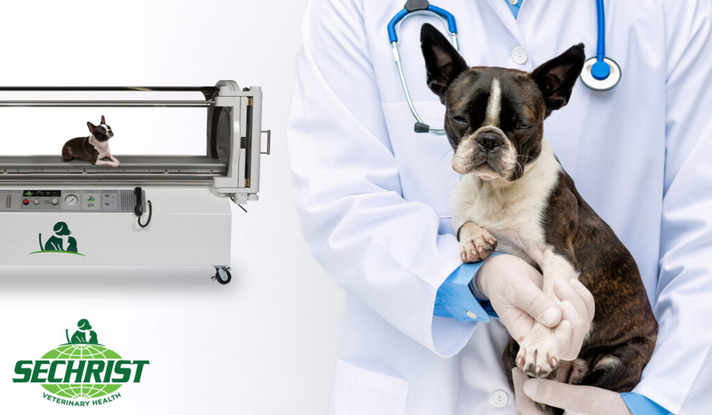 Pancreatitis and Hyperbaric Oxygen for Animals