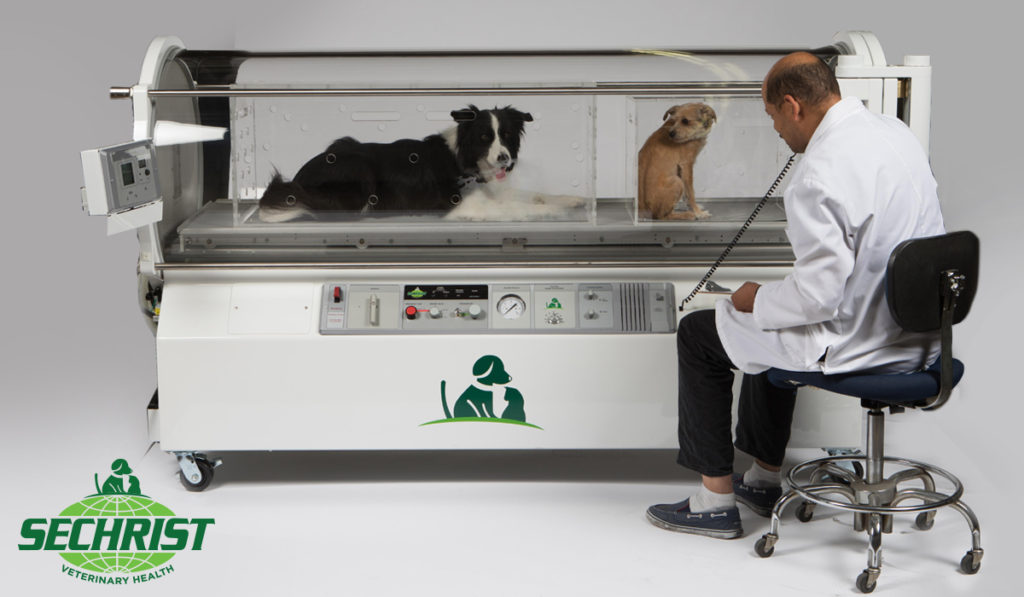 Veterinarians Need Hyperbaric Treatment