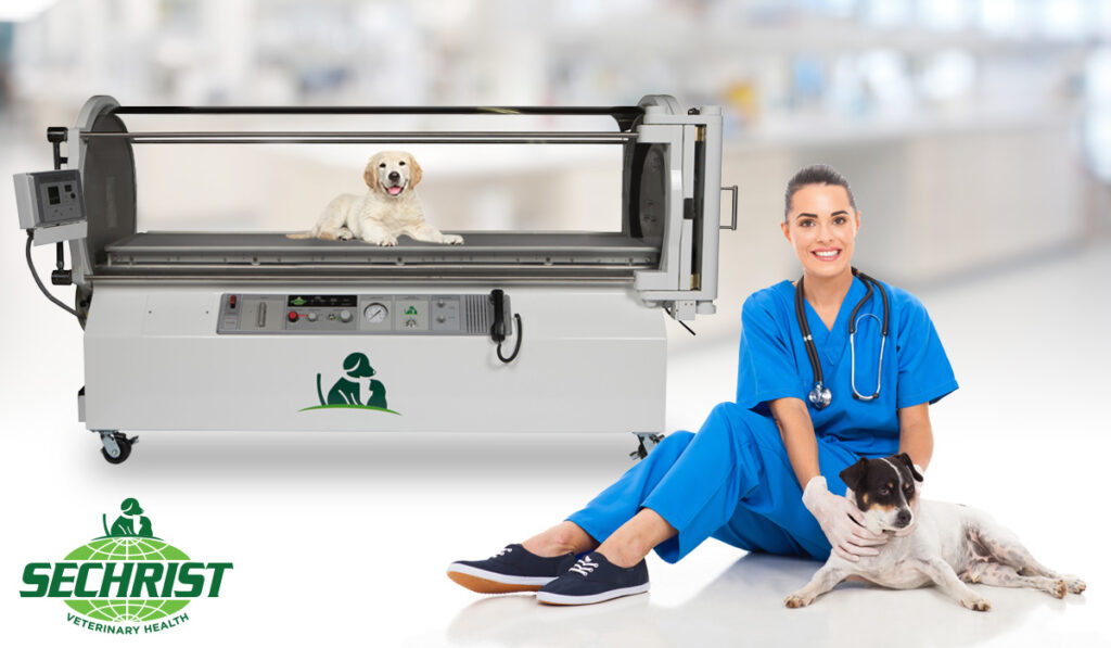 Veterinary Hyperbaric Oxygen Therapy