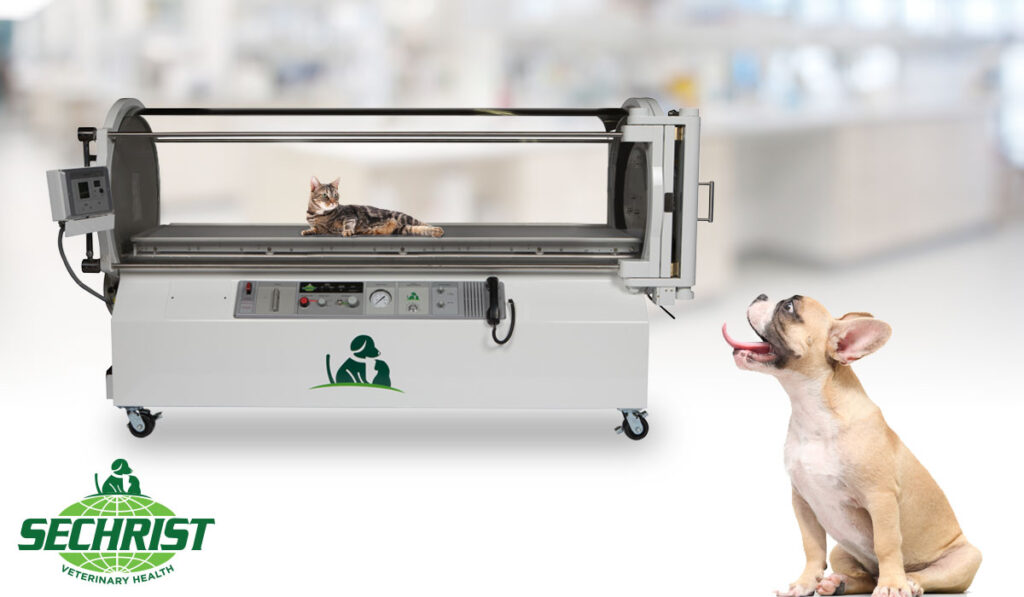 Veterinary Hyperbaric Oxygen Therapy