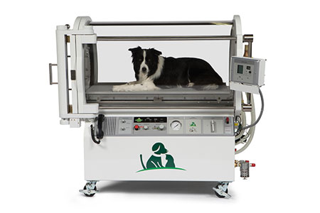 animal hyperbaric oxygen therapy