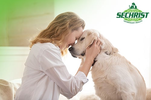 veterinary services that meet pet owners growing needs